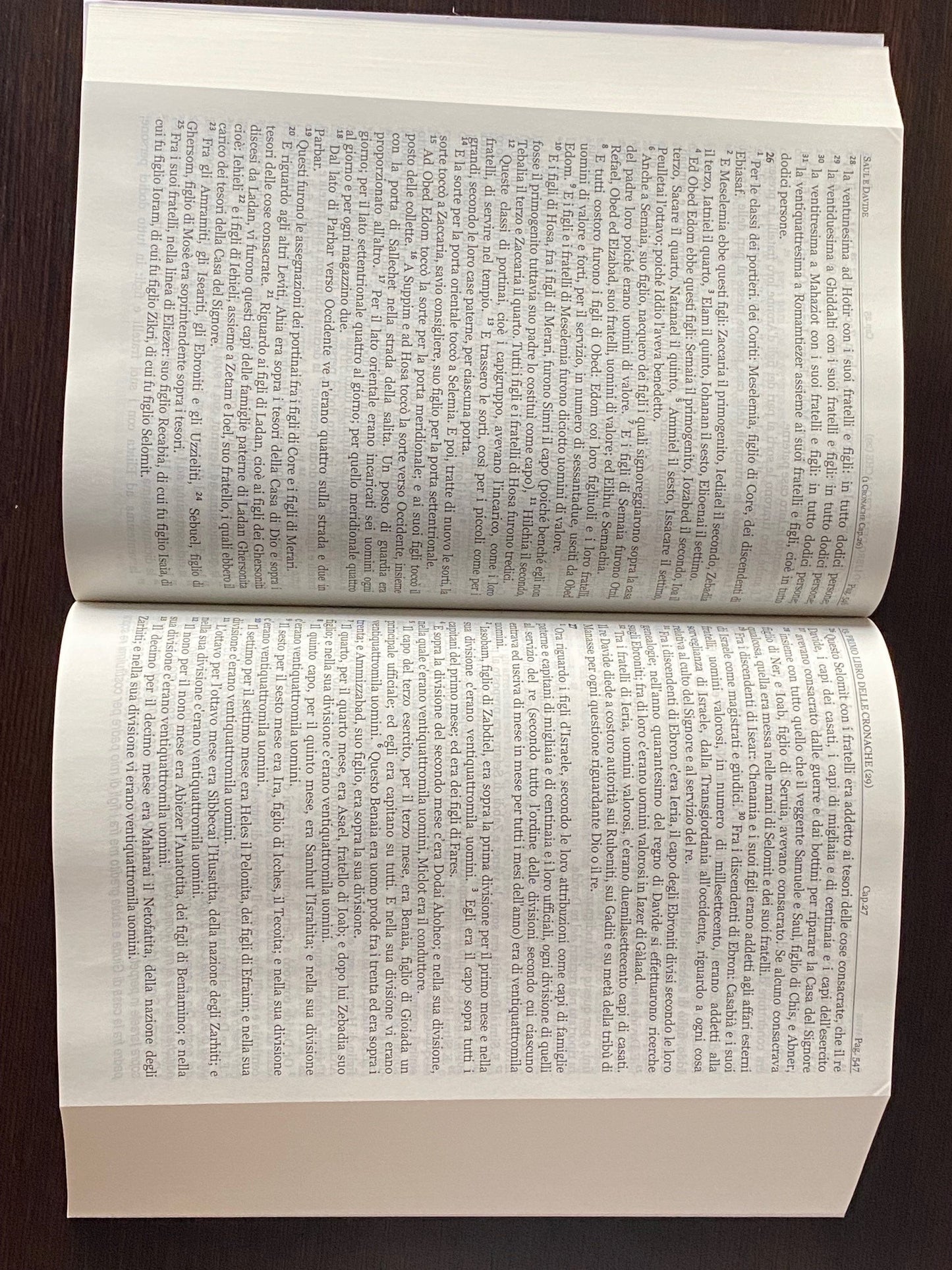 La Bibbia di Giovanni Diodati